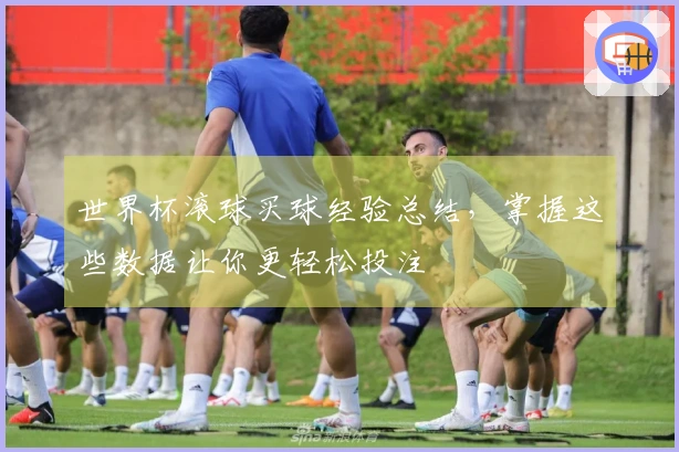 世界杯滚球买球经验总结，掌握这些数据让你更轻松投注