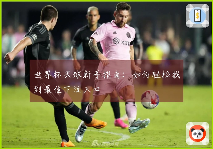 世界杯买球新手指南：如何轻松找到最佳下注入口