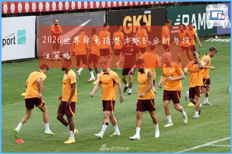 2026世界杯竞猜潜力球队分析与投注策略