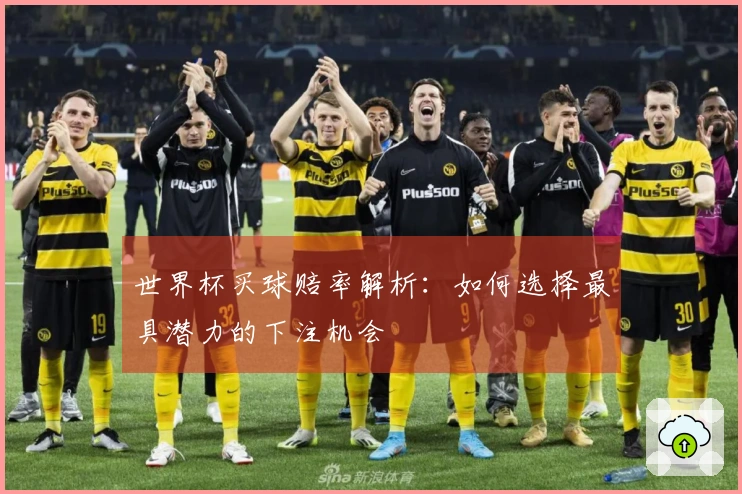 世界杯买球赔率解析：如何选择最具潜力的下注机会