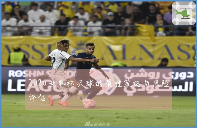 2026世界杯买球的最佳策略与风险评估